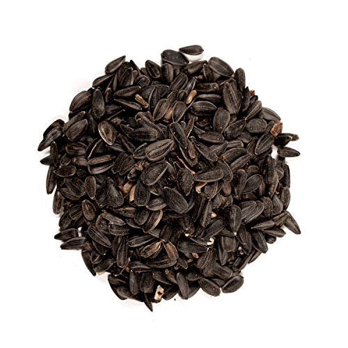 Wagner's 52023 Black Oil Sunflower Seed Wild Bird Food, 5-Pound Bag - view 4