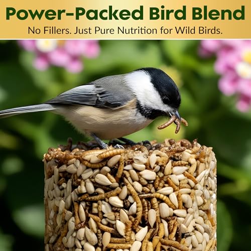 Mealworm Bird Seed Cylinders with Hole – Premium Mealworm Birdseed Log – Sunflower Chips & Dried Mealworms for - view 8