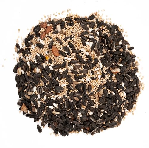 Wagner's 62042 Songbird Supreme Blend Wild Bird Food, 8-Pound Bag - view 4