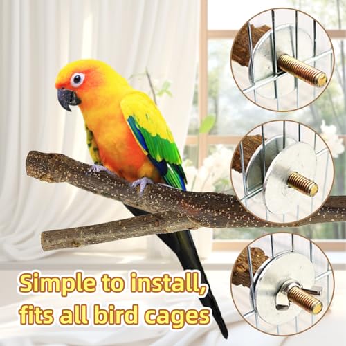 8-Piece Set Natural Wood Bird Perches - Wooden Parrot Stand with Fork Toys, Hanging Multi-Branch Platform, Ham - view 5