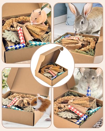 Bissap Rabbit Chew Toy, Natural Bunny Treats Snacks with Timothy Hay Water Grass Mat Coconut Husk Box for Guin - view 8