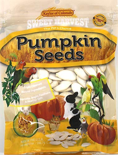 Pumpkin Seeds, 5 Oz Bag - Real Pumpkin Seeds for Birds and Small Animals - Rabbits, Hamsters, Mice, Gerbils, R