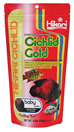 Hikari Cichlid Gold Floating Baby Pellets for Pets, 8.8-Ounce - view 2