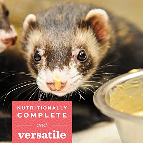 Oxbow Critical Care Carnivore, Made with Whole Egg & Dried Chicken, Assist Feeding Formula for Carnivores, Cat - view 4