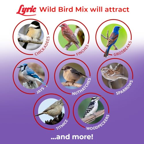 Lyric Wild Bird Mix - Includes Corn, Nuts, and Wild Bird Seed for Outside Feeders, Attracts Doves, Jays and Ma - view 6