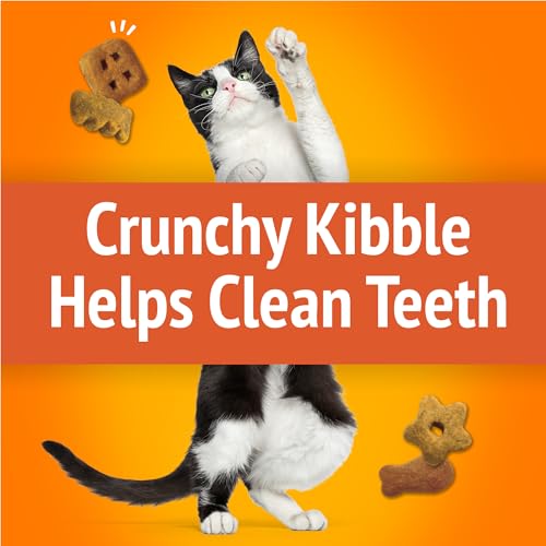 Purina Friskies Cat Treats, Party Mix Original Crunch - 30 oz. Pouch - view 6