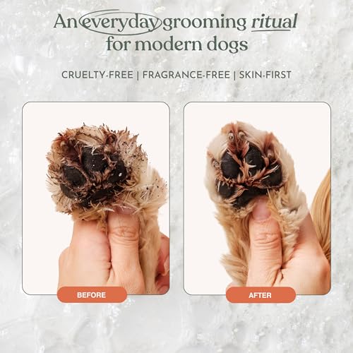 Dandylion Dog Paw Cleaner, Clean Paws, Dog Paw Washer, No Rinse Foam Cleaner for Dogs, Fragrance Free pH Balan - view 5