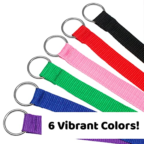 Downtown Pet Supply 6ft Dog Kennel Slip Lead Leash for Dogs - Veterinarian, Grooming, Daycare & Animal Rescue  - view 3