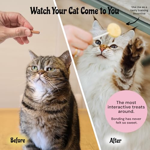 MalsiPree Cat Lollipop Treats - Interactive Cat Toy & Freeze Dried Cat Treats - Fun Suckers & Pops - Healthy C - view 5