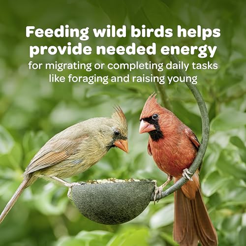 Kaytee Nyjer Wild Bird Food Seed, 5 Pound - view 5