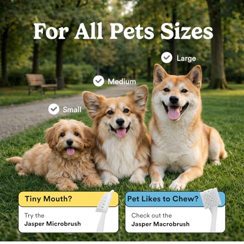 Jasper Dog Toothbrush, 360 Dog Tooth Brushing Kit, Finger Toothbrush, Cat Tooth Brush, Teeth Cleaning, Pet Too - view 4