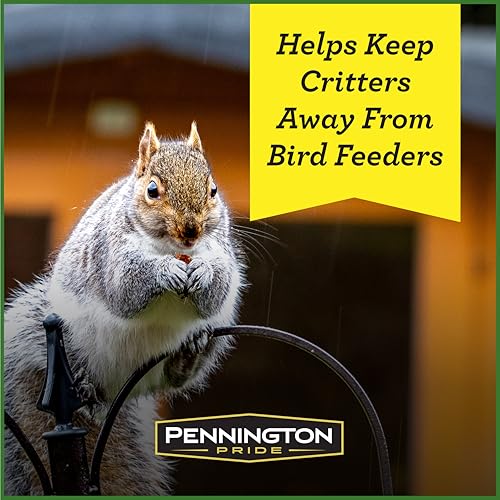 Pennington Pride Squirrel & Critter Blend, With Sunflower Seeds and Peanuts for Squirrels, Helps Keep Critters - view 4