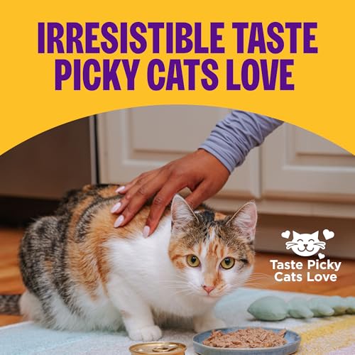 Wellness Complete Health Pate Variety Pack Kitten Canned Wet Cat Food, Natural, Protein Rich, Grain Free, Whit - view 5
