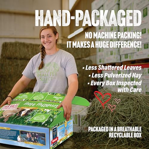Small Pet Select 1st Cut Timothy Hay Pet Food for Rabbits, Guinea Pigs, and Other Small Animals, Easy to Store - view 4