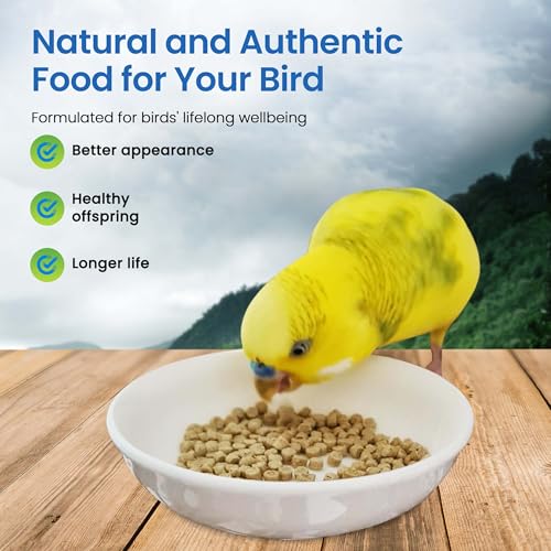 Harrison's Bird Foods Adult Lifetime Certified Organic Non-GMO Formula Small Bird Food 1lb - view 5