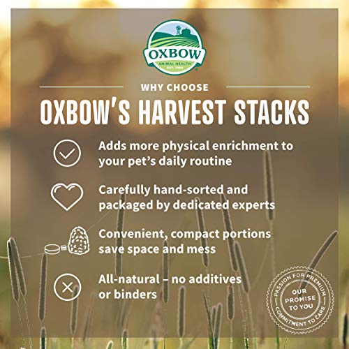 Oxbow Harvest Stacks, Western Timothy Hay with Chamomile, Guinea Pig Hay, Small Pet Bunny Supplies, Western Ti - view 5