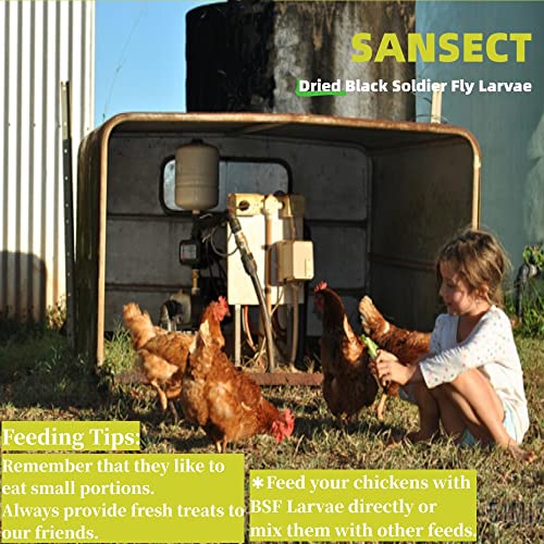 SANSECT Dried Black Soldier Fly Larvae 10LB, High Calcium Chicken Feed – 85X More Calcium, Non-GMO Treats for  - view 7