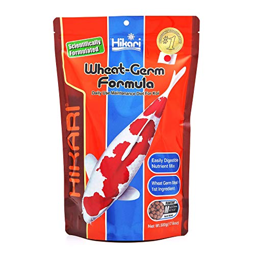 Hikari 17.6-Ounce Wheat Germ Floating Pellets for Pets, Medium - view 2