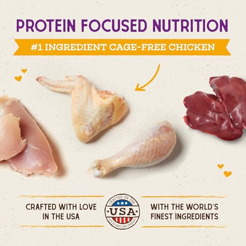 Stella & Chewy's Raw Coated Cat Food - High Protein, Grain-Free Kibble with Cage-Free Chicken - Premium Digest - view 3