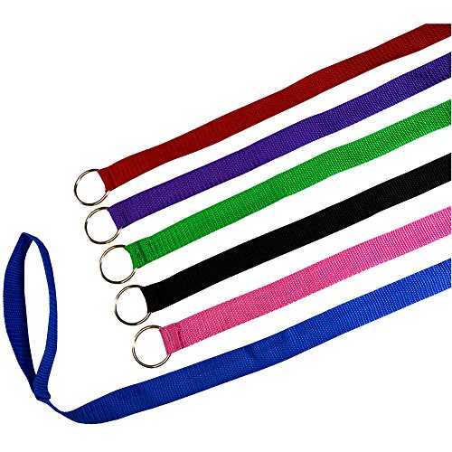 Downtown Pet Supply 6ft Dog Kennel Slip Lead Leash for Dogs - Veterinarian, Grooming, Daycare & Animal Rescue  - view 2