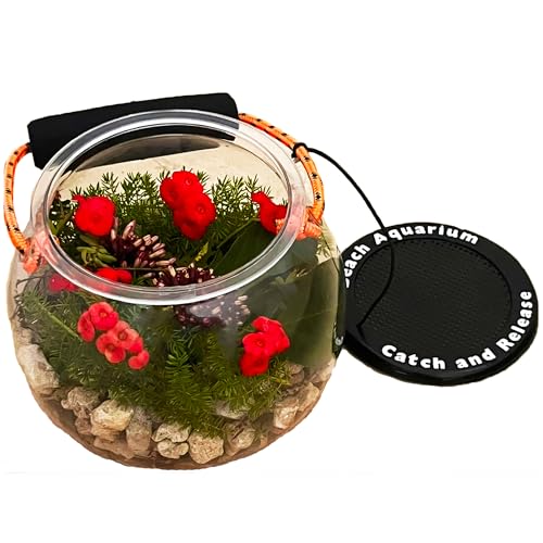 Dry Branch Sports Design Catch and Release Beach Aquarium Kit , Clear - view 8
