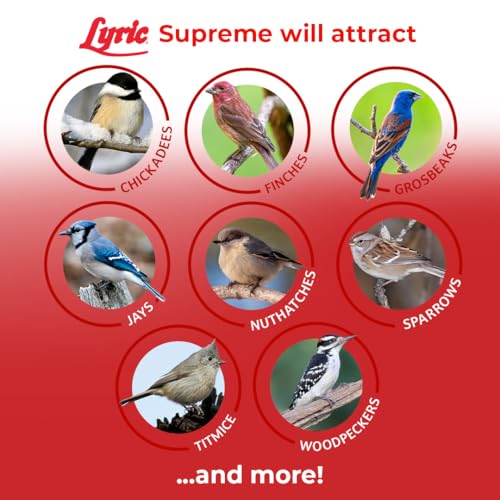 Lyric Supreme Wild Bird Seed for Outside Feeders - Wild Bird Food Mix with Nuts & Sunflower Seeds, Attracts Ma - view 6