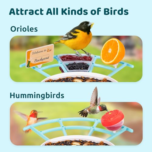 NETVUE by Birdfy Pro Perch - Wider Extension Perch to DIY Add-ons Including Suet Ball, Mini Hummingbird Feeder - view 4