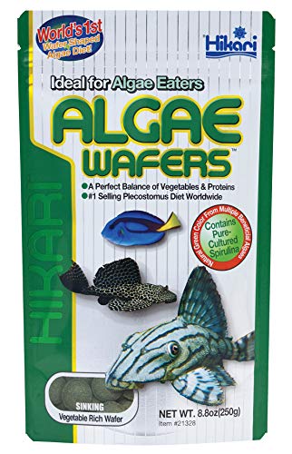 Hikari Usa Inc AHK21328 tropical Algae Wafer 8.8-Ounce - view 2