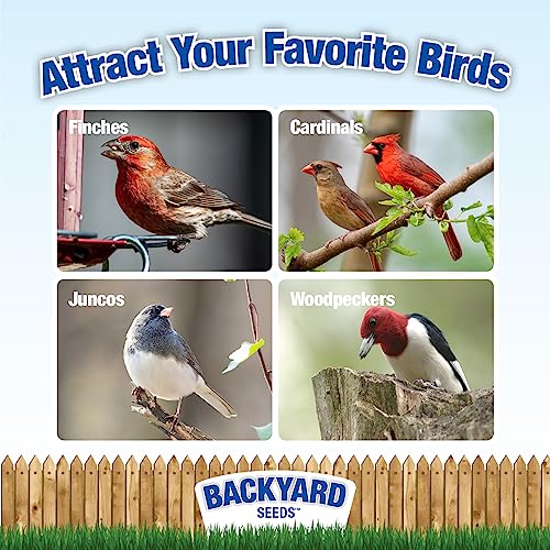 CountryMax Backyard Seeds Songbird Blend Wild Bird Seed – 50 lb Bag – Premium Mix with Sunflower Seeds, Safflo - view 3