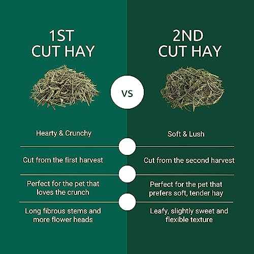 Kaytee 2nd Cut Soft and Lush Timothy Hay for Pet Guinea Pigs, Rabbits & Other Small Animals, 6.5 Pound - view 3