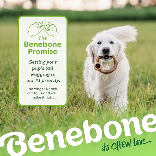 Benebone Ring Durable Dog Chew Toy for Aggressive Chewers, Real Bacon, Made in USA, Medium - view 7