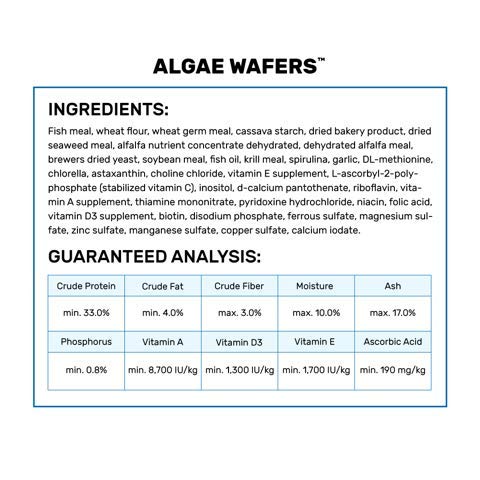 Hikari Usa Inc AHK21328 tropical Algae Wafer 8.8-Ounce - view 5
