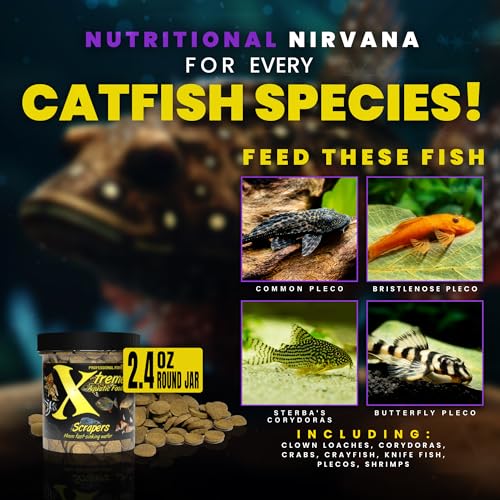 Xtreme Scrapers Wafers - Premium 14mm Fast-Sinking Fish Food – Nutrient & Cellulose Rich Ideal for Nocturnal F - view 4