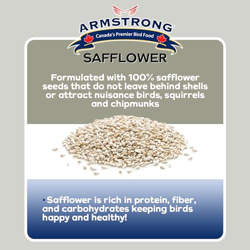 Armstrong Wild Bird Food Safflower Bird Seed, 20 Pounds - for Northern Cardinals, Rose-Breasted Grosbeaks and  - view 4