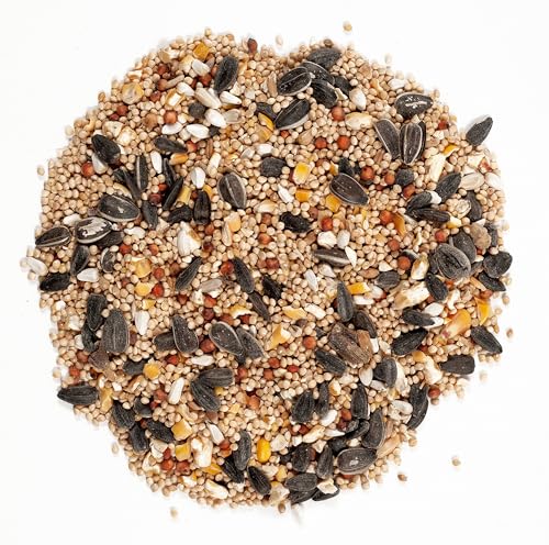 Wagner's 62004 Eastern Regional Wild Bird Food, 20-Pound Bag - view 4