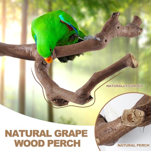 6-Piece Bird Perch Set - Natural Wood Grape Sticks, Paw Grinding Forks, Bird Stand & Toys for Parakeets, Cocka - view 3