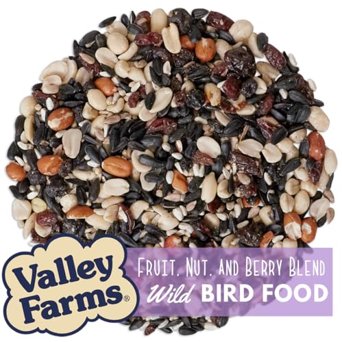 Valley Farms Fruit Nut & Berry (4 LB) Wild Bird Food Outside Feeders, Bird Seed with Dried Fruit, Peanuts, Sun - view 3