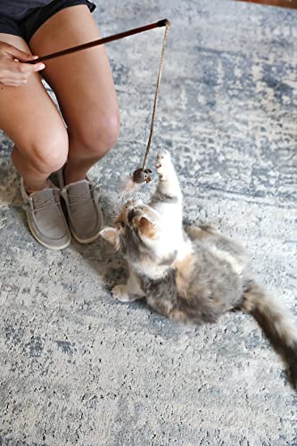 OurPet's Play-N-Squeak Teathered & Feathered Play Wand Cat Toy, for All Breed Sizes - view 5