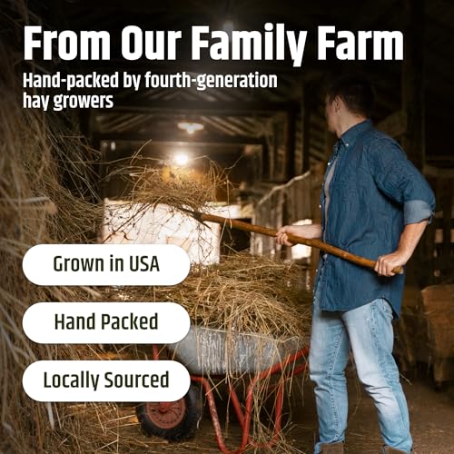 High Desert Alfalfa Hay, Protein Rich Soft Leaf Food for Young Growing Animals, Natural Rabbit Food and Guinea - view 6