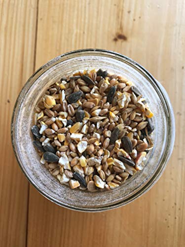 Ernst Grain & Livestock's Bird and Wildlife Feed – Perfect for Birds, Ducks, Squirrels, Turkeys, Rabbits, Gees - view 5