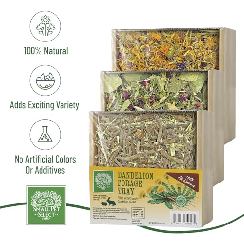Small Pet Select Forage Tray Bundle, 3 Pack of Foraging Trays for Rabbit, Guinea Pig, Hamster or Bunny - Natur - view 4