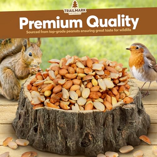 11 LB - Raw Shelled Peanuts for Squirrels, Out of Shell Peanuts for Birds and Wildlife- Squirrel Food, Wild Bi - view 3