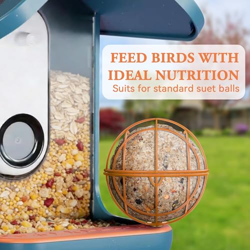 Metal Suet Ball Holder for Bird Buddy, Compatible with BirdBuddy Smart Feeders & Others with Ready 5mm Screw H - view 5