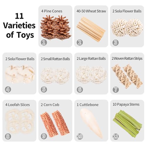 40 Pcs Bird Parrot Toys, Natural Bird Foraging Toy for Cockatiels, Lovebirds, Budgies, Small to Medium Parrot - view 4