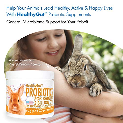 HealthyGut Probiotics for Rabbits Dietary Supplement, All-Natural Digestive System Formula (120 Servings) - view 5