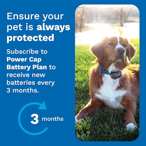Invisible Fence Power Cap Battery - Original IFB Electric Fence Battery Replacement for Dog Collars - Long-Las - view 7