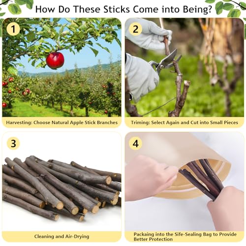 600g Organic Apple Sticks Small Animals Molar Wood Treats Toys for Chinchillas Guinea Pig Rabbits Hamster Gerb - view 4