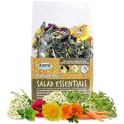 Exotic Nutrition Pasture Plus+ Salad Essentials - Healthy Natural High-Fiber Dried Flower & Herb Treat - Guine - view 2
