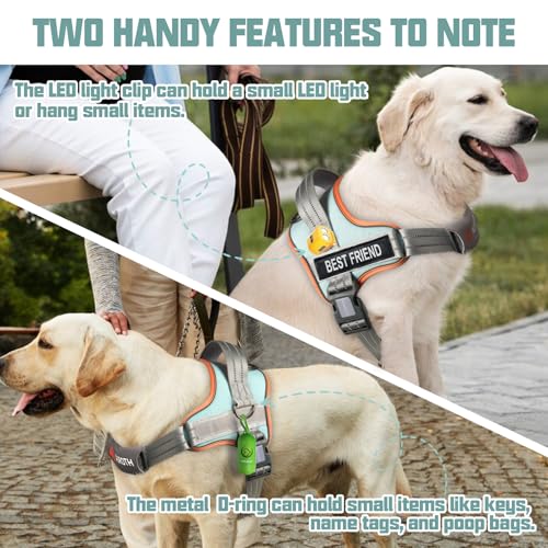 AUROTH Dog Harness and Leash Set, Soft Padded Service Dog Vest with 5.25FT Dog Leash, No Choke, Easy On Pet Ve - view 4