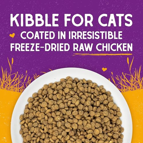 Stella & Chewy's Raw Coated Cat Food - High Protein, Grain-Free Kibble with Cage-Free Chicken - Premium Digest - view 6